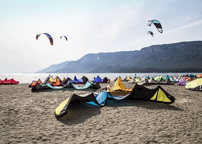 酒店 巴加酒店 4*