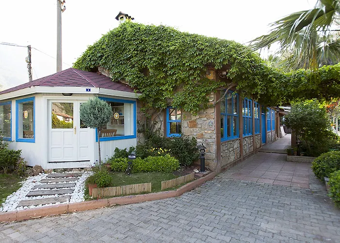 酒店 巴加酒店 4*