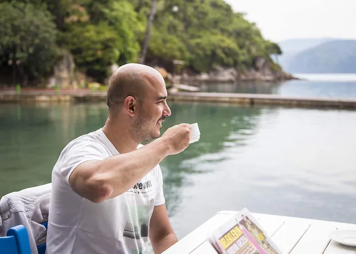 酒店 巴加酒店 4*